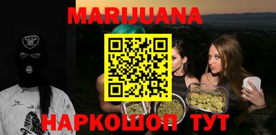 сатива Краснознаменск