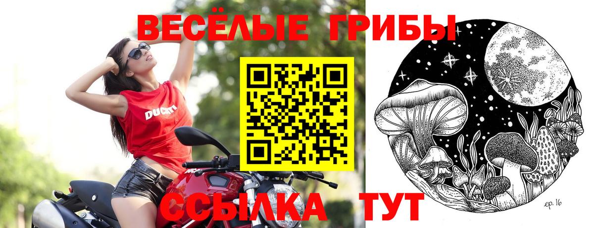 Аксай  Галлюциногенные грибы мицелий  Вход с VPN 