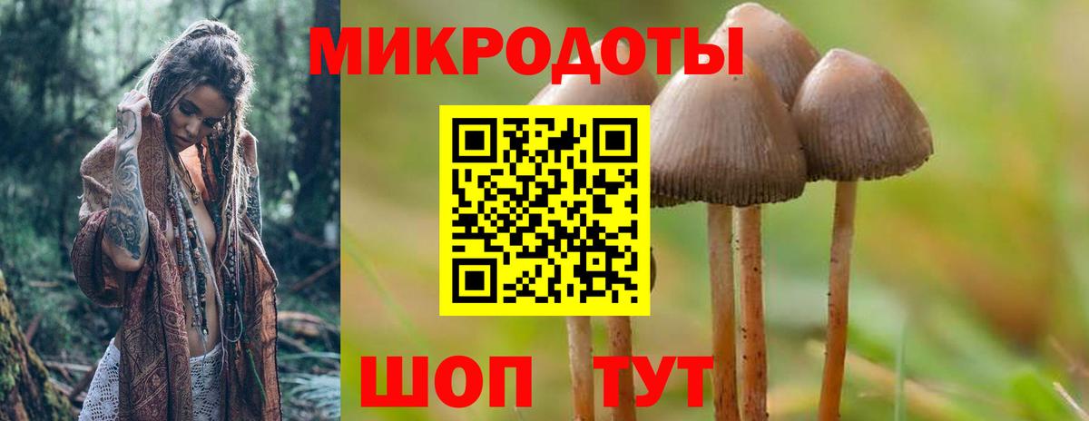 Псилоцибиновые грибы мицелий Аксай